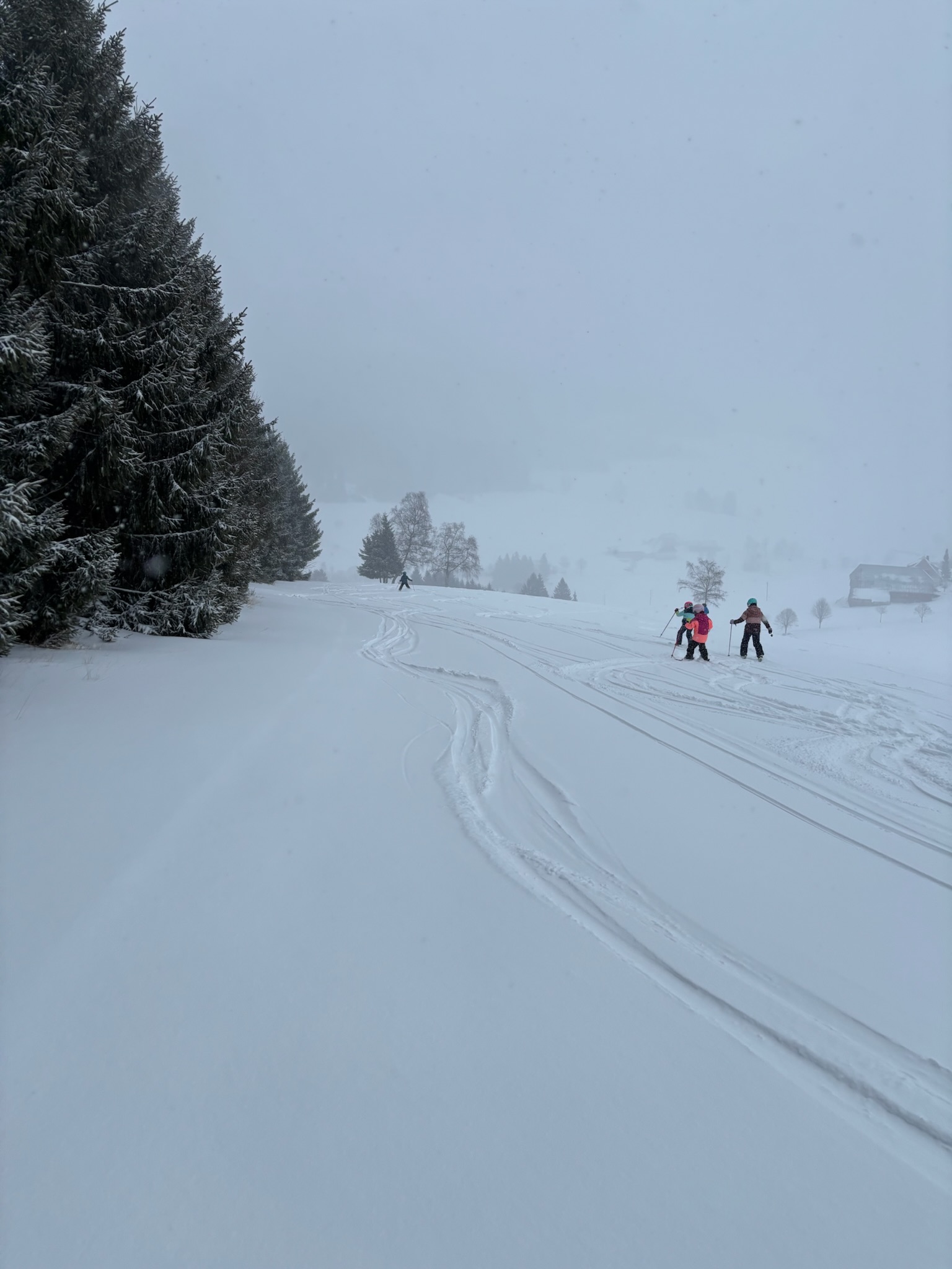 skikurse.jpeg